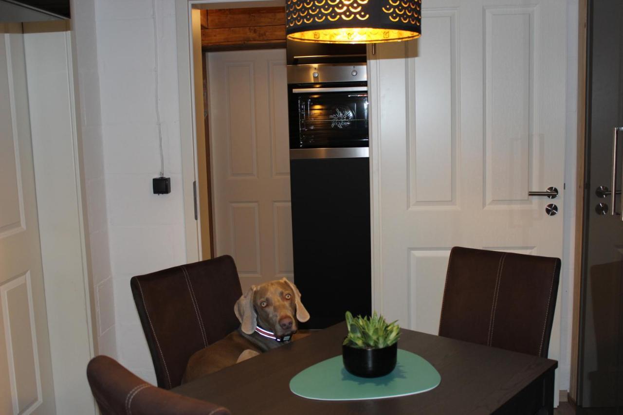 Kleine Souterrain Wohnung Naehe Hamburg Neu Wulmstorf Εξωτερικό φωτογραφία